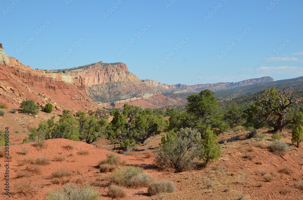 GENEVRIER ET PAYSAGE CAPITOL REEF (UTAH) USA GENEVRIER ET PAYSAGE CAPITOL REEF (UTAH) USA