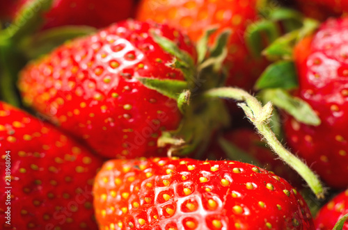 strawberry macro