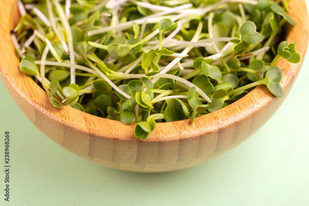 Germinated radish sprouts in wooden bowl on light green background Germinated radish sprouts in wooden bowl on light green background