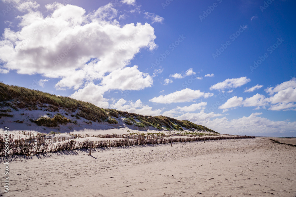 Fototapeta premium Dunes at the coast of Amrum in Germany.