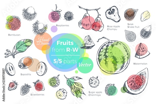 Fruits hand drawn icons set. Fresh organic food