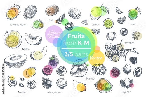 Fruits hand drawn icons set. Fresh organic food