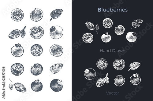Hand drawn blueberry icons. Organic food vector