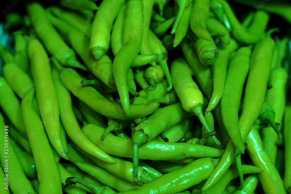 Close up of fresh green chili peppers from organic farm. Close up of fresh green chili peppers from organic farm.