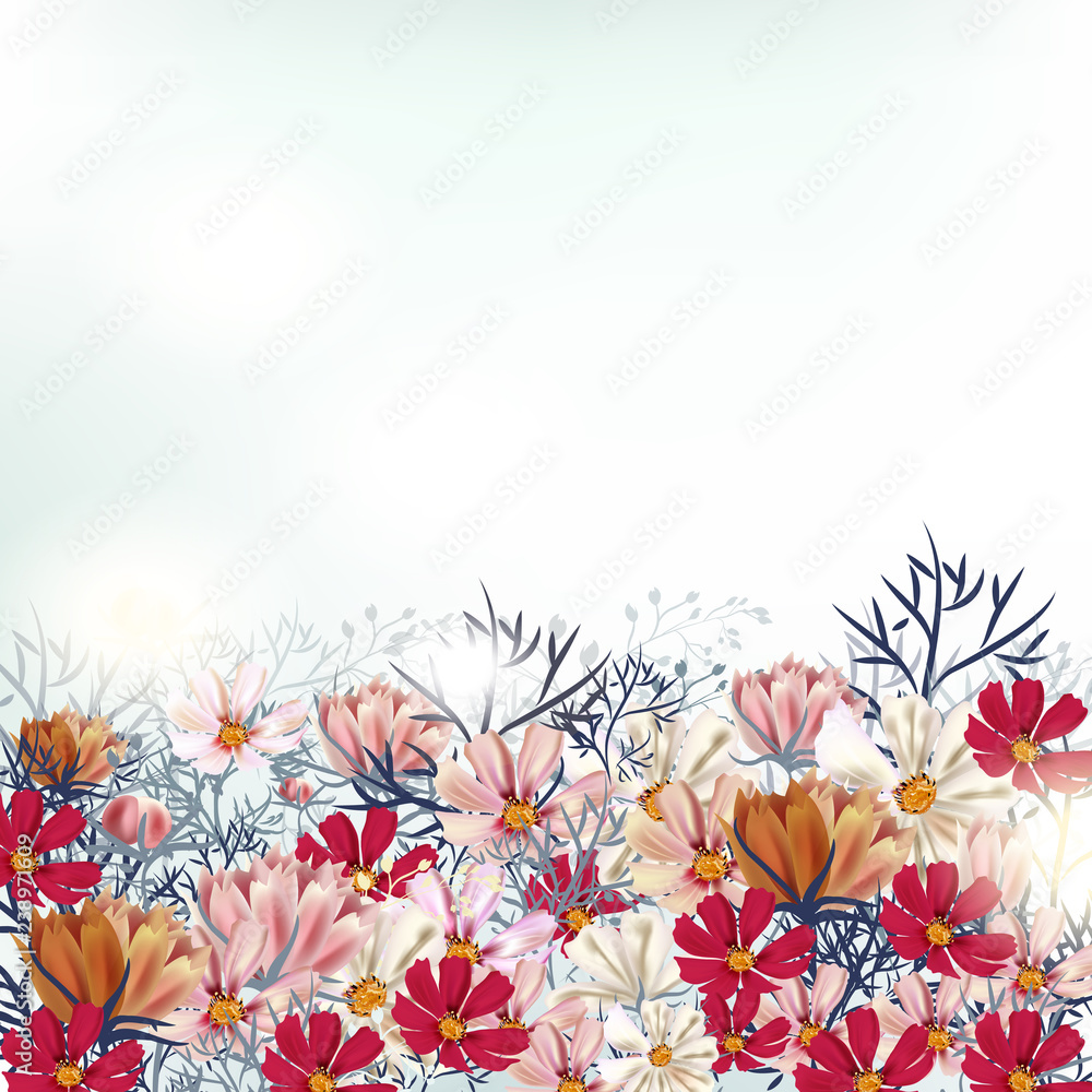 Beautiful illustration with cosmos field flowers, garden scene