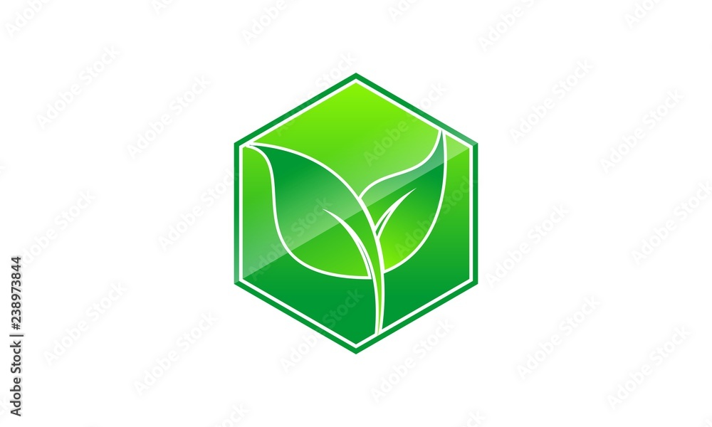 Leaf and polygon logo