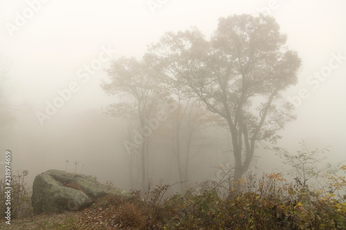 Morning fog along Blue Ridge Parkway;  Virginia