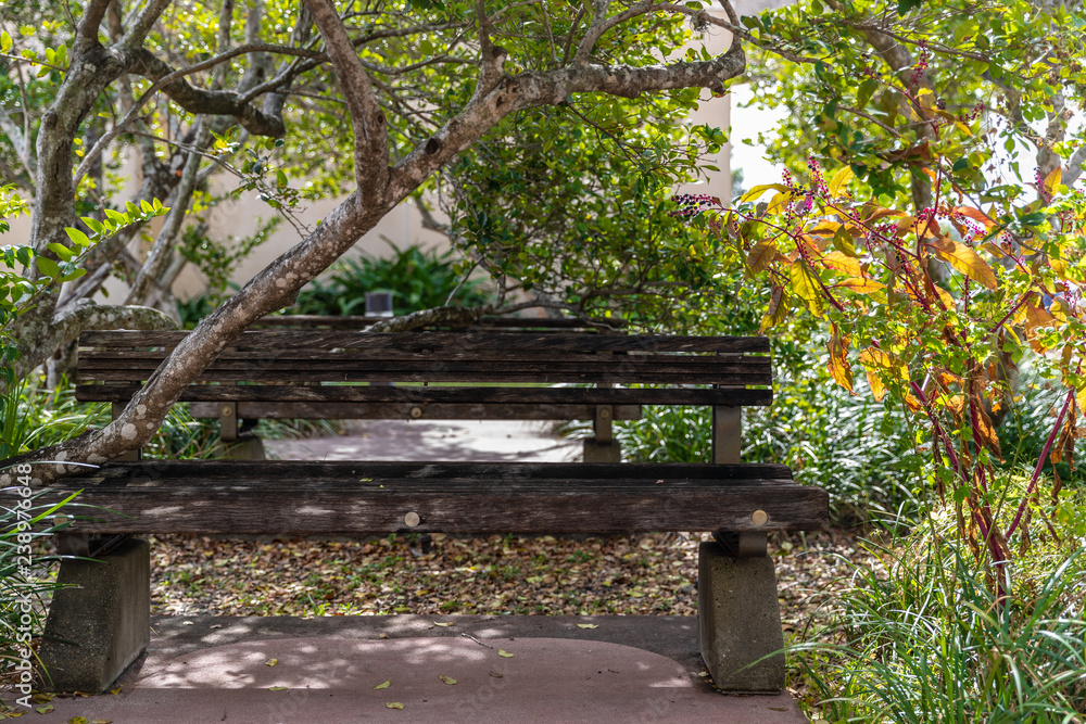 bench in the park