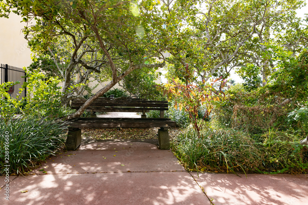 bench in the park