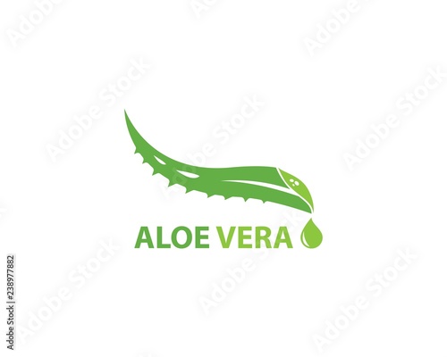 Aloe vera logo vector