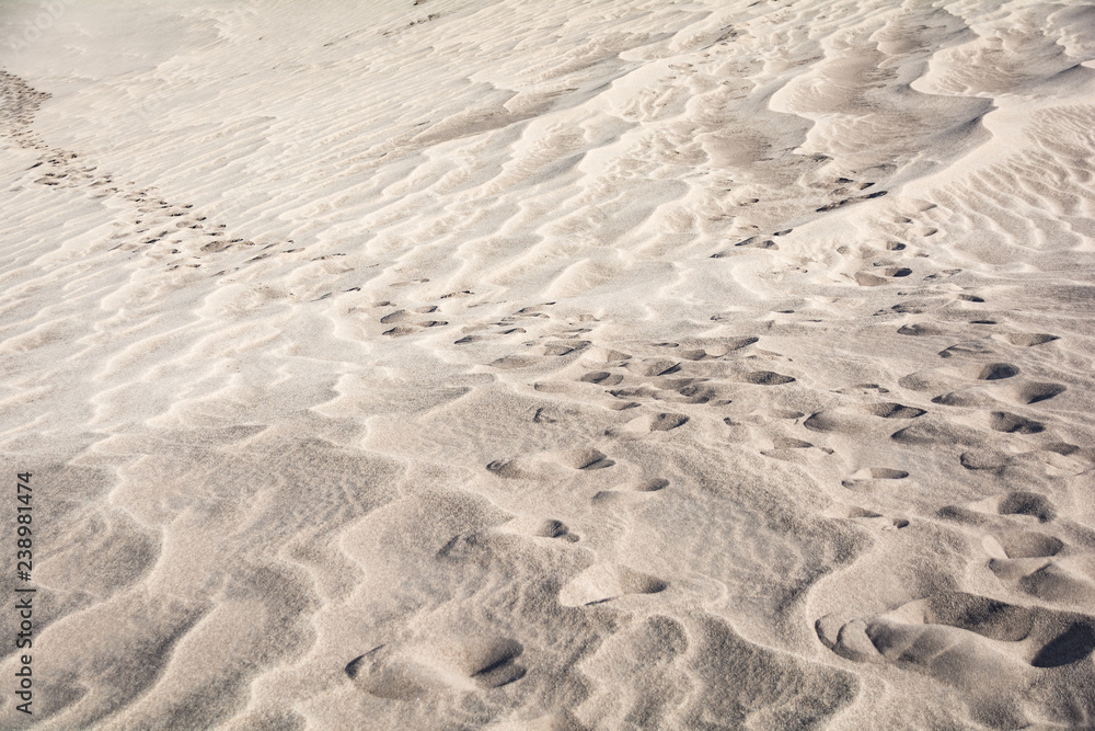 Great Sand Dunes National Park Colorado Sand Texture Foot Prints Great Sand Dunes National Park Colorado Sand Texture Foot Prints