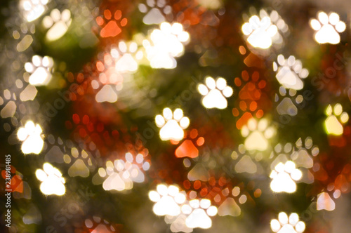Fototapeta Naklejka Na Ścianę i Meble -  abstract animal paw print shape bokeh for background