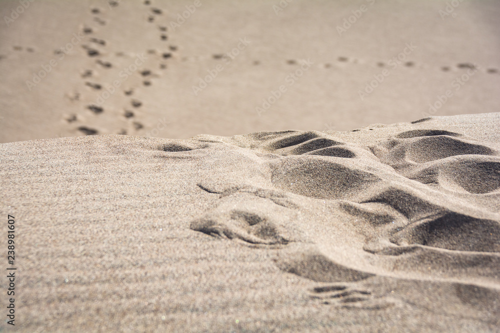 Obraz premium Great Sand Dunes National Park Colorado Sand Texture Foot Prints