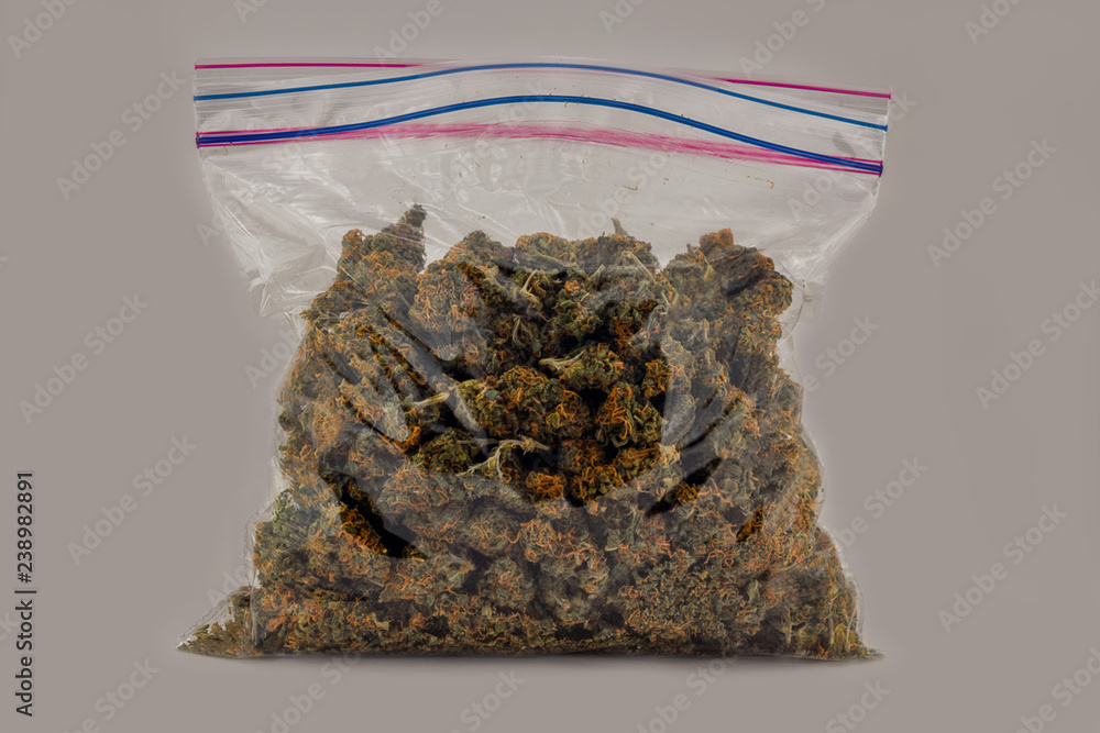 A zip top sandwich bag filled with Cheese OG marijuana buds isolated with a white background.