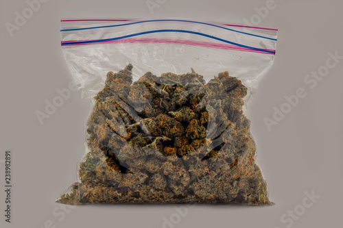 Obraz na płótnie A zip top sandwich bag filled with Cheese OG marijuana buds isolated with a white background. w salonie