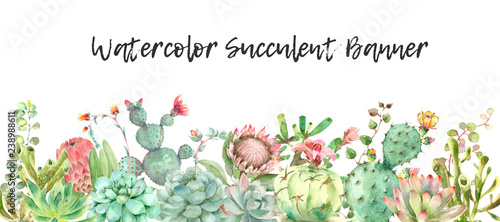 Succulents banner watercolor