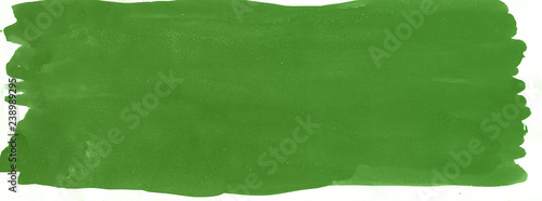green leaf in the water