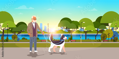 senior man walking with husky dog urban city park background grandfather with his animal pet best friend concept horizontal flat
