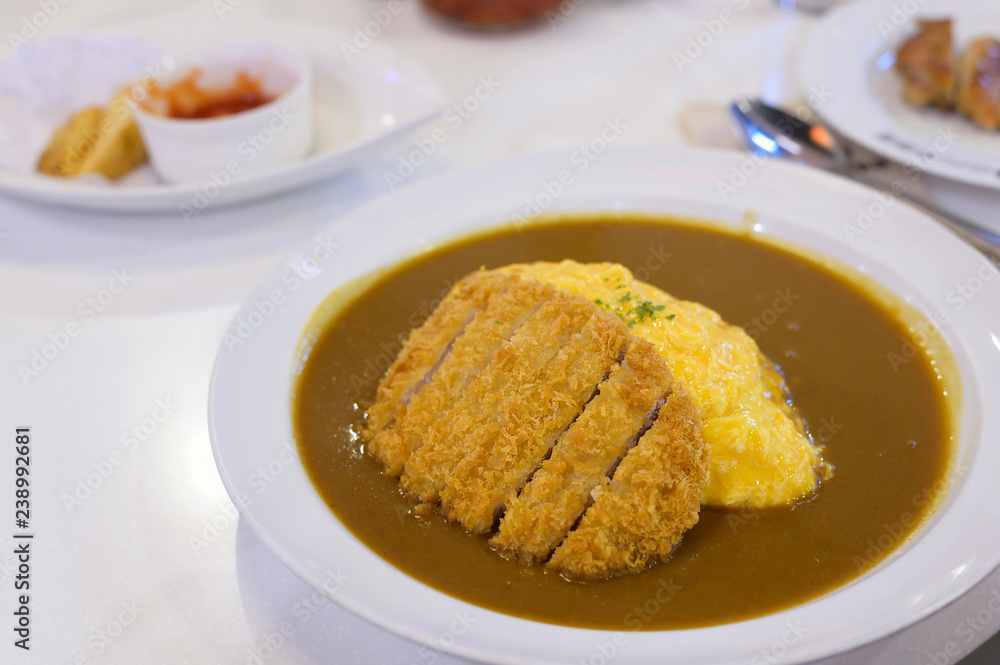 Curry and rice with fried Pork with omelet, Japanese food. Curry and rice with fried Pork with omelet, Japanese food.