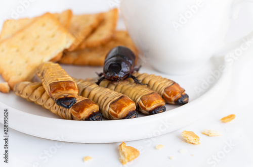 Insects as snacks like cookies. The concept of protein food sources from insects. It is a good source of protein, vitamin B12, and fiber, it is low in fat. photo