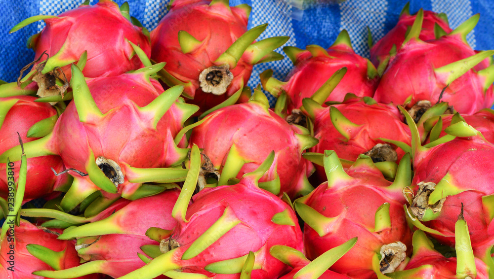 pile dragon fruit background / dragon fruit for sale in the market tropical fruit pile dragon fruit background / dragon fruit for sale in the market tropical fruit