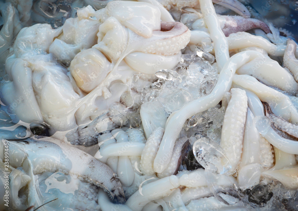 fresh squid in ice in box / raw squid in seafood market background fresh squid in ice in box / raw squid in seafood market background