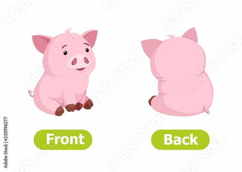 Vector antonyms and opposites. Cartoon characters illustration on white background. Card for children сan be used as a teaching aid for a foreign language learning. Front and Back