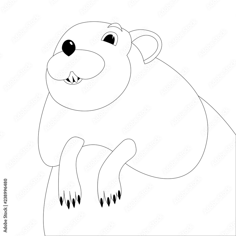 cartoon muskrat face, vector illustration , lining draw cartoon muskrat face, vector illustration , lining draw