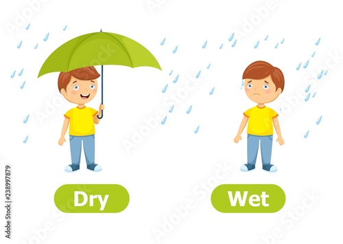 Vector antonyms and opposites.Dry and Wet. Cartoon characters illustration on white background. Card for teaching aid, for a foreign language learning.