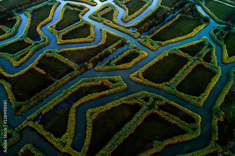 Hongze lake wetland water maze, jiangsu province, China