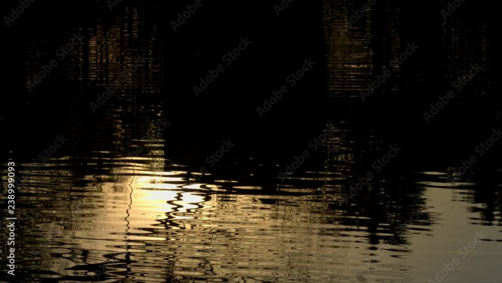 水面の光 水面の光
