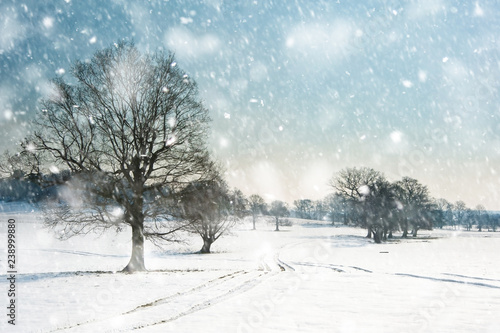 Winter rural countryside la...