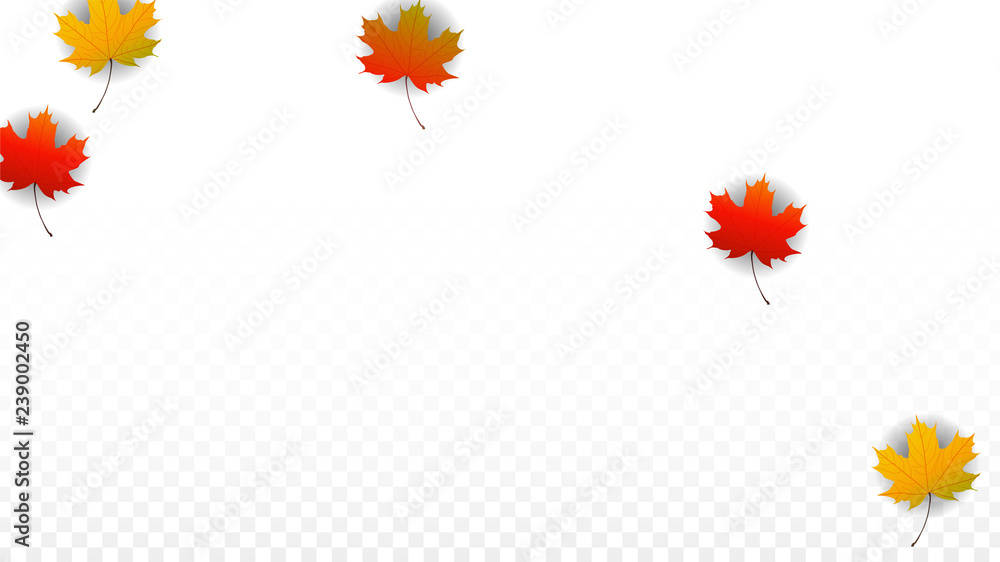 September Vector Background with Golden Falling Leaves. Autumn Illustration with Maple Red, Orange, Yellow Foliage. Isolated Leaf on Transparent Background. Bright Swirl. Suitable for Posters. September Vector Background with Golden Falling Leaves. Autumn Illustration with Maple Red, Orange, Yellow Foliage. Isolated Leaf on Transparent Background. Bright Swirl. Suitable for Posters.