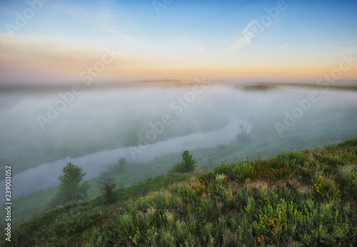 spring meadow. foggy morning in the river valley
