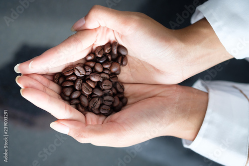 Closeup of Barista handful to present coffee bean in coffee shop.