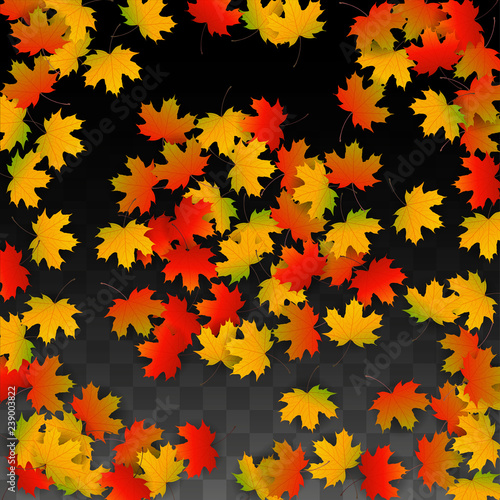 September Vector Background with Golden Falling Leaves. Autumn Illustration with Maple Red, Orange, Yellow Foliage. Isolated Leaf on Transparent Background. Bright Swirl. Suitable for Posters.