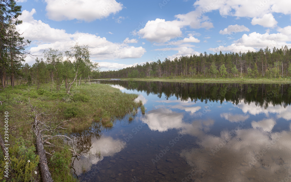 Lapland landscape in summer. RIvers and woods. Lapland landscape in summer. RIvers and woods.