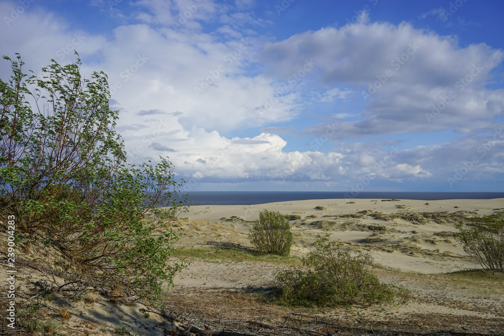 Sea landscape of the Baltic sea with coastal sand dunes of the Curonian spit.
