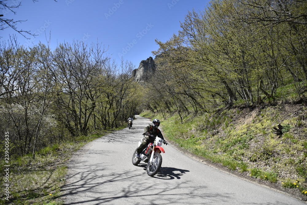 Fototapeta premium mountain biking in the forest