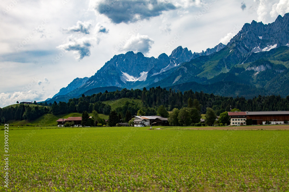 Fototapeta premium Natura - góry