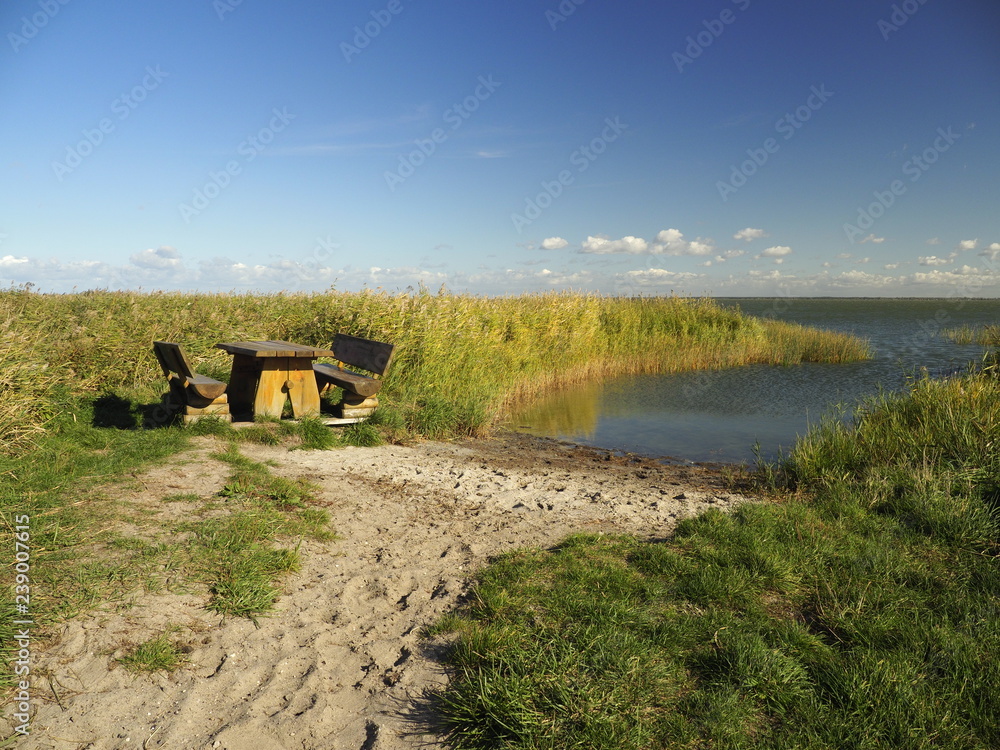 Am Saaler Bodden bei Wustrow, Halbinsel Fischland, Mecklenburg-Vorpommern, Deutschland