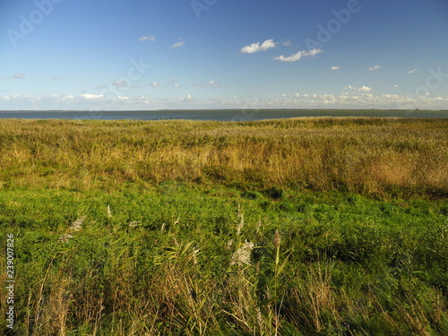 Am Saaler Bodden bei Wustrow  Halbinsel Fischland  Mecklenburg-Vorpommern  Deutschland