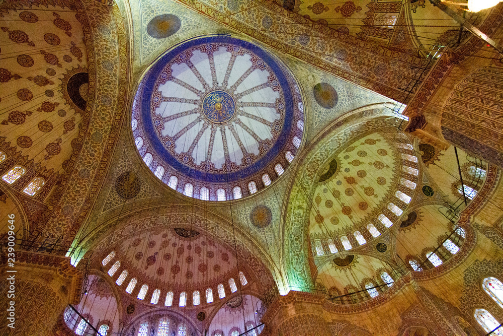 Naklejka premium Istanbul, Palazzi e Moschee