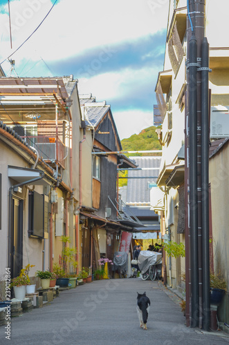 Peaceful street in Japanese town