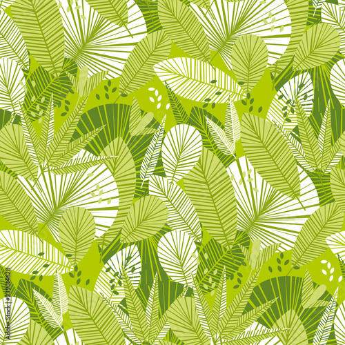 Tropical tender green leave...