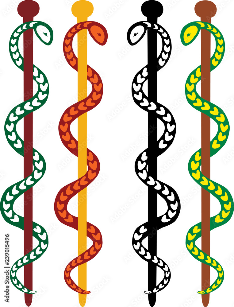Obraz premium Vector image of snake medical symbol