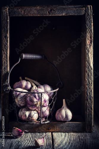 Homegrown rustic garlic in old wooden box