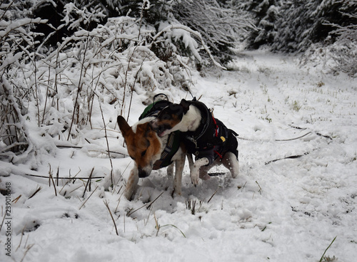 Nature Soul Impression