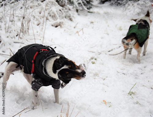 Nature Soul Impression