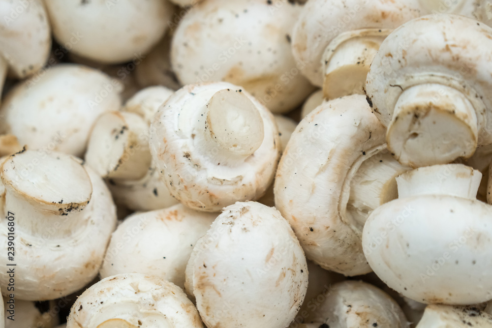 Fresh white button mushrooms on the farmers' market